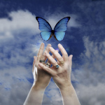 Miracle Manifestation 1