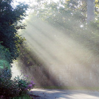 Clairvoyant Readings