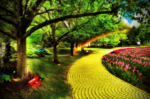 Healing Miracles