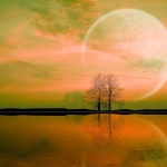 Magical Hope