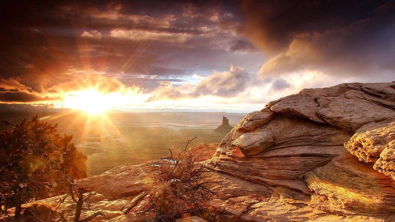 Awakening Sunrise