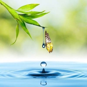 Transformed Life